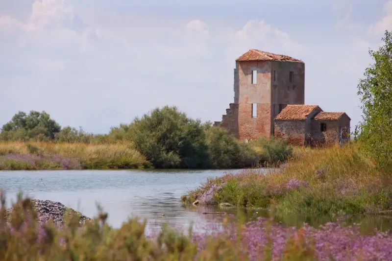 Rovine di un antico edificio tra canneti e fiori viola, un paesaggio suggestivo nei dintorni di Ferrara.